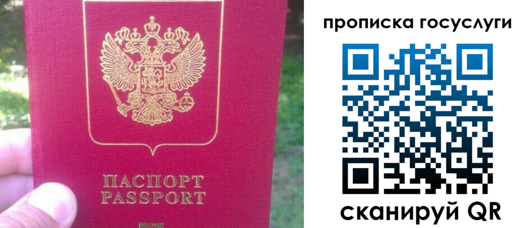 временная регистрация собственник в Светлогорске