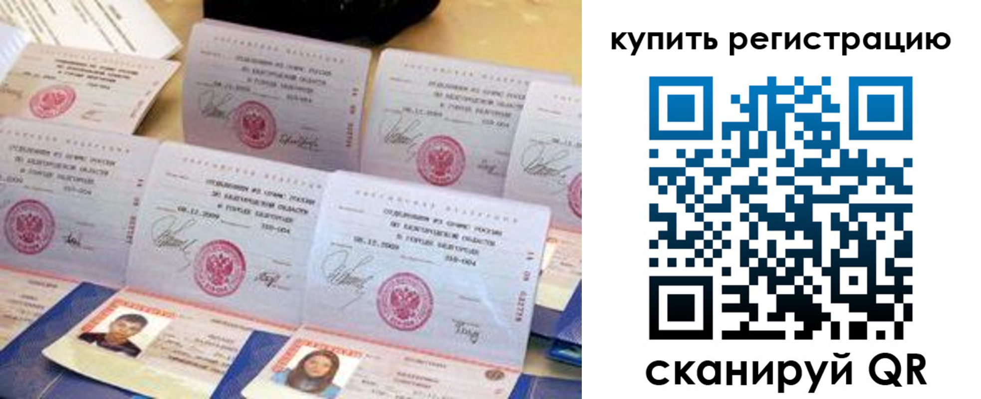 прописка паспорт в Светлогорске
