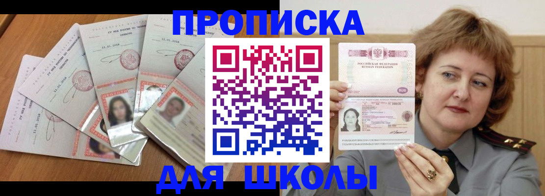 пропишу в квартире в Светлогорске